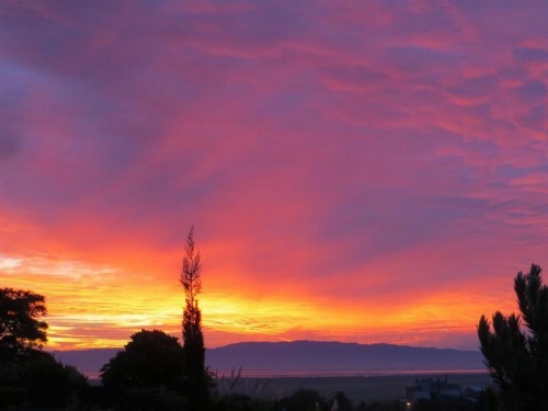 Cotswold Cottage Bed and Breakfast image 29