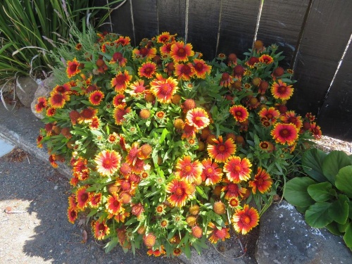 Cotswold Cottage Bed and Breakfast image 31