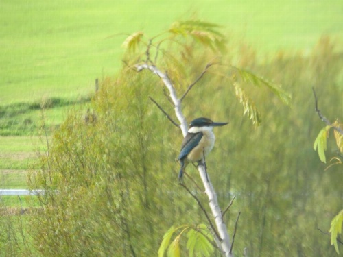 Cotswold Cottage Bed and Breakfast image 35